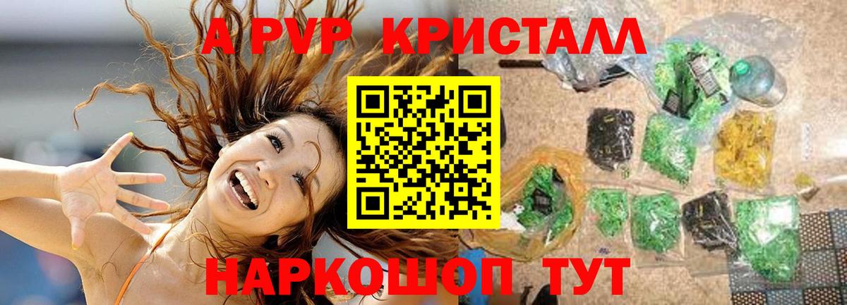 A-PVP СК Липецк
