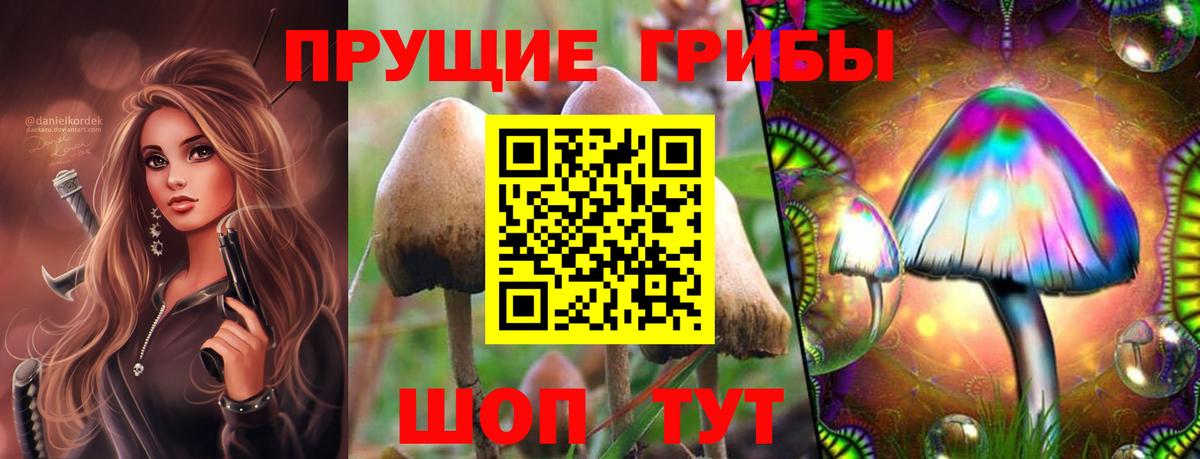 где продают   Псилоцибиновые грибы MAGIC MUSHROOMS  Вход с VPN  Псилоцибиновые грибы Magic Shrooms  Липецк 